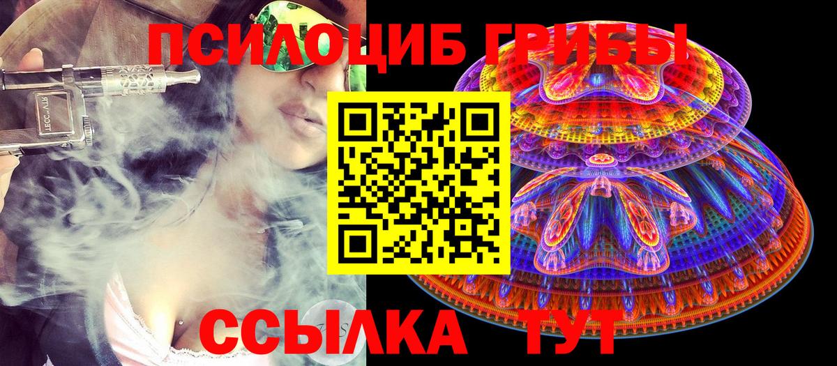 Ноябрьск  Псилоцибиновые грибы Psilocybine cubensis  Вход с VPN  Псилоцибиновые грибы прущие грибы 